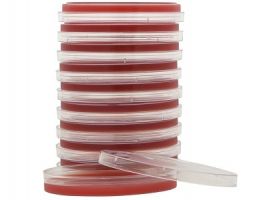 Blood Agar products use as general purpose growth media for the isolation, cultivation, and differentiation 