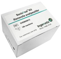 BactoReal® Kit Riemerella anatipestifer For veterinary use only VIC-HEX