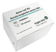 BactoReal Kit Borrelia burgdorferi sensu lato For veterinary use only  VIC-HEX