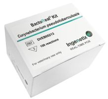 BactoReal Kit Corynebacterium pseudotuberculosis For veterinary use only VIC-HEX