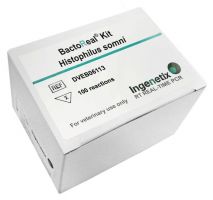 BactoReal® Kit Histophilus somni