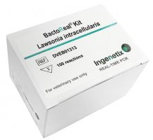BactoReal® Kit Lawsonia intracellularis basiert auf der Amplifikation des 16S rRNA Gens 