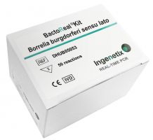 BactoReal Kit Borrelia burgdorferi sensu lato In vitro-Diagnostikum