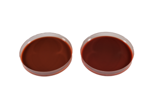 Chocolate Eugon Agar with 10% Horse Blood (CEA-HB) For Veterinary and Research Use Only