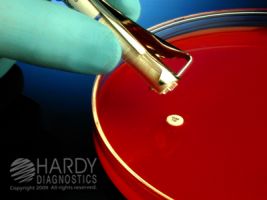 HardyDisk™ AST Disks are used for semi-quantitative in vitro susceptibility testing