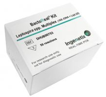 BactoReal Kit Leptospira spp. Multiplex (16S rDNA+LipL32) for Research Use Only Nachweis von Leptospira spp. mittels real-time PCR.