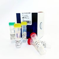 PHOENIXDX® SARS-COV-2 MUTANT SCREEN [T265I]