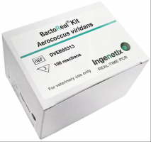 BactoReal® Kit Aerococcus viridans