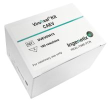 ViroReal Kit CAEV For veterinary use only VIC-HEX mittels real-time PCR